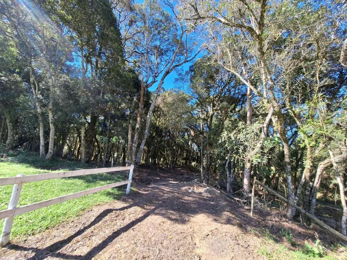 Fazenda, 6000 m² - Foto 1