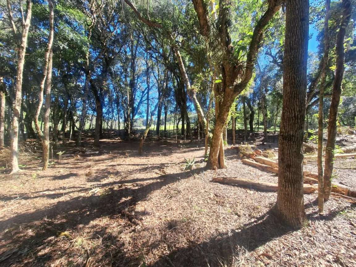 Fazenda, 6000 m² - Foto 8