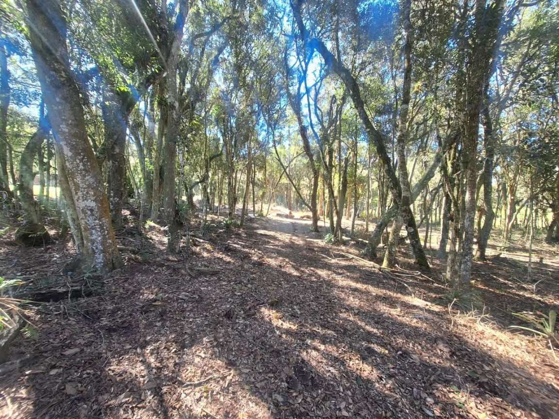 Fazenda, 6000 m² - Foto 9