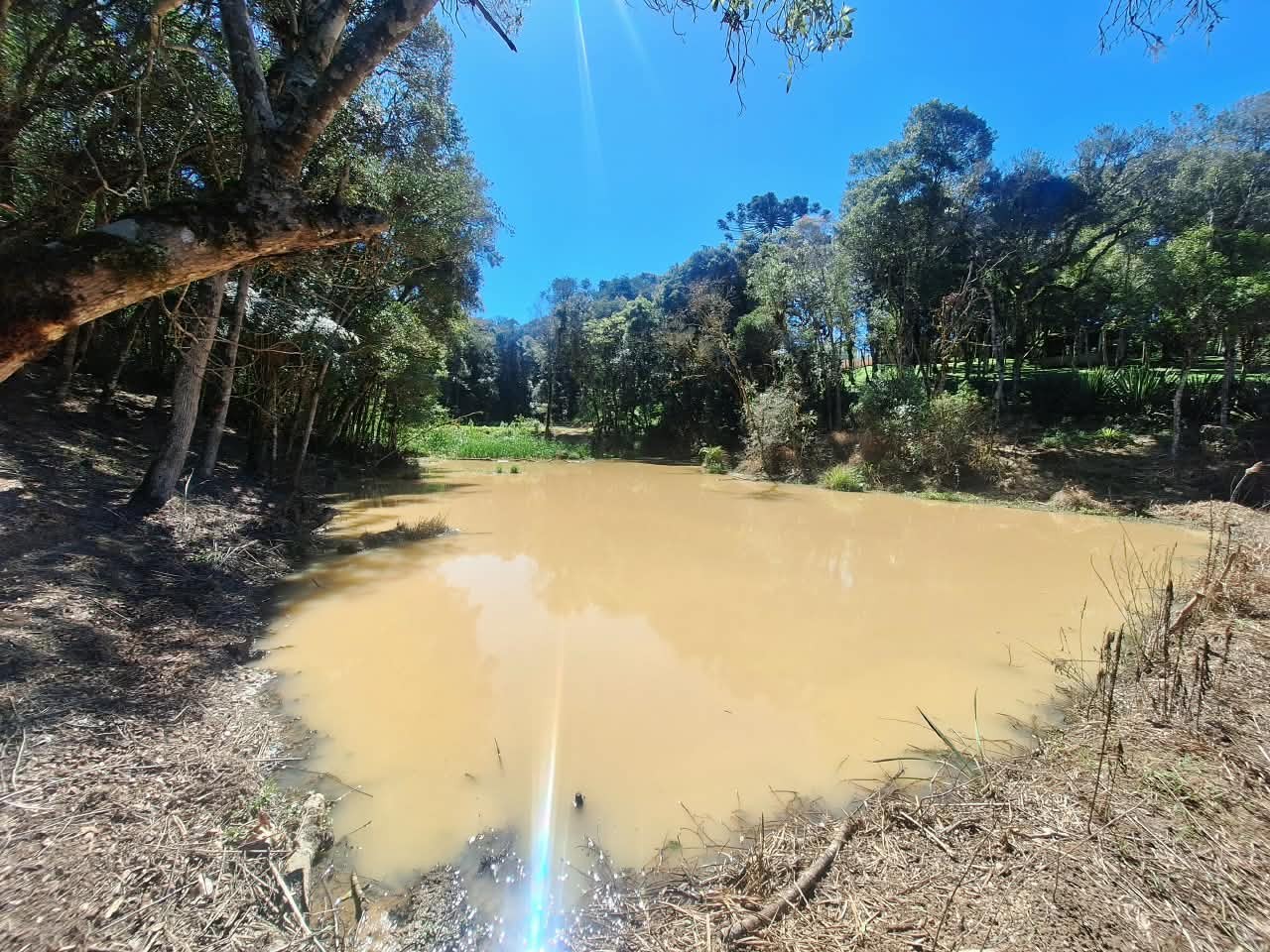 Fazenda, 6000 m² - Foto 14