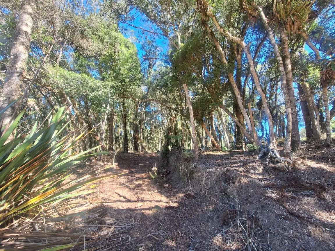 Fazenda, 6000 m² - Foto 13