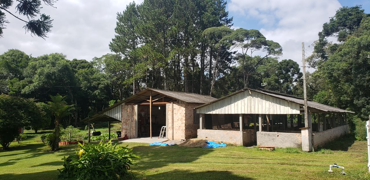 Fazenda, 2 hectares - Foto 6