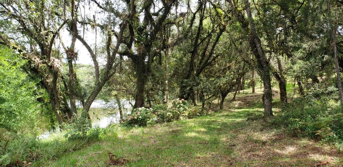Fazenda, 2 hectares - Foto 12