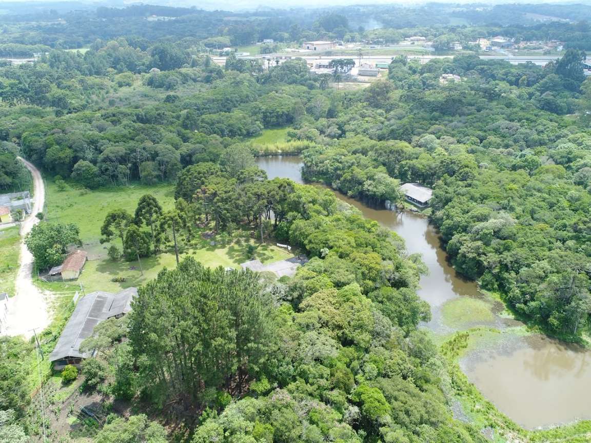 Fazenda, 2 hectares - Foto 17