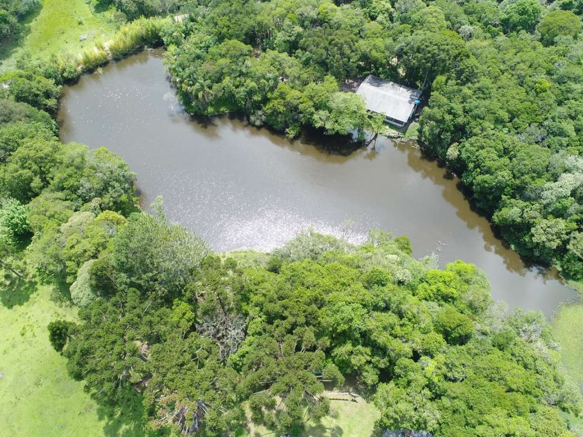 Fazenda, 2 hectares - Foto 16